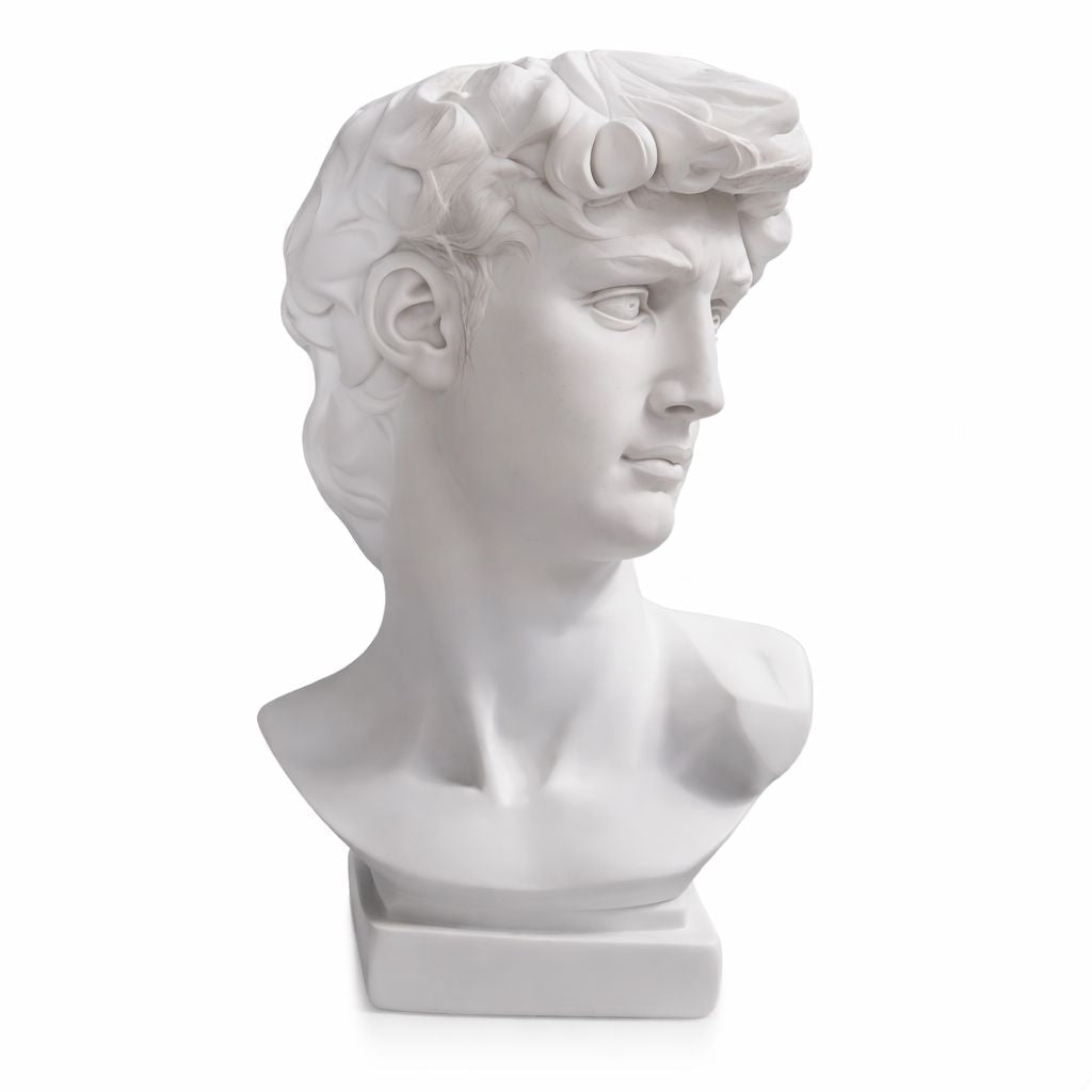Escultura e Vaso Decorativo David Michelangelo - Decors